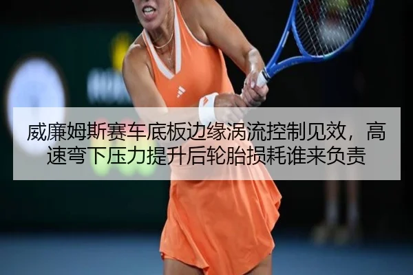 威廉姆斯赛车底板边缘涡流控制见效，高速弯下压力提升后轮胎损耗谁来负责
