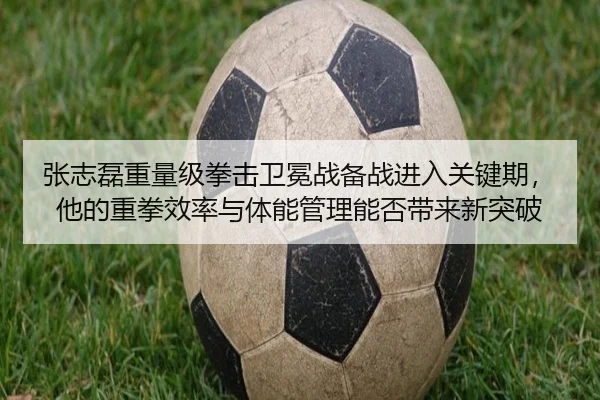 张志磊重量级拳击卫冕战备战进入关键期，他的重拳效率与体能管理能否带来新突破